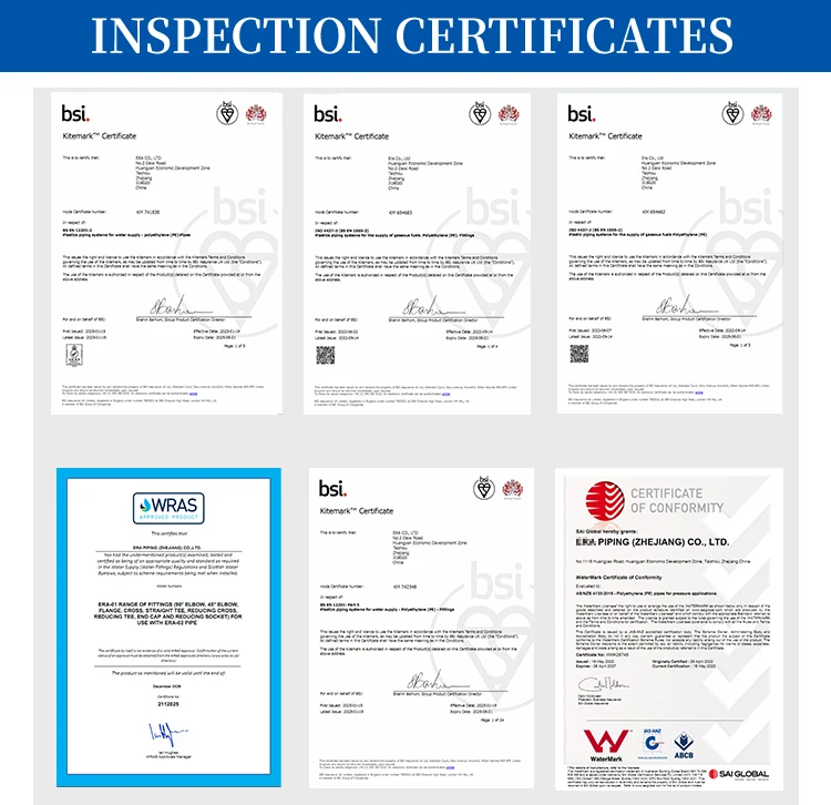 APAS China Factory Price All Types HDPE Pe Pipe Fitting  Fittings  For water supply drainage HVAC Aquaculture Gas Submarine