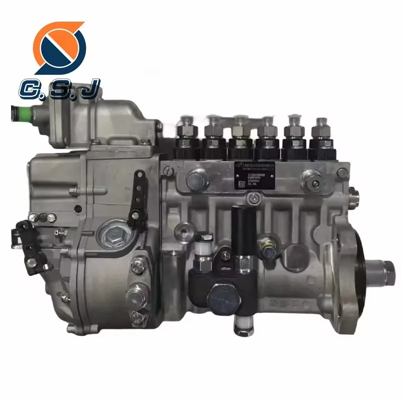Fuel Injection Pump 6PW142 612601080606 BP12R4 1001100066 612601080575 100110006502 VG1560080021 For Diesel WD615 Engine