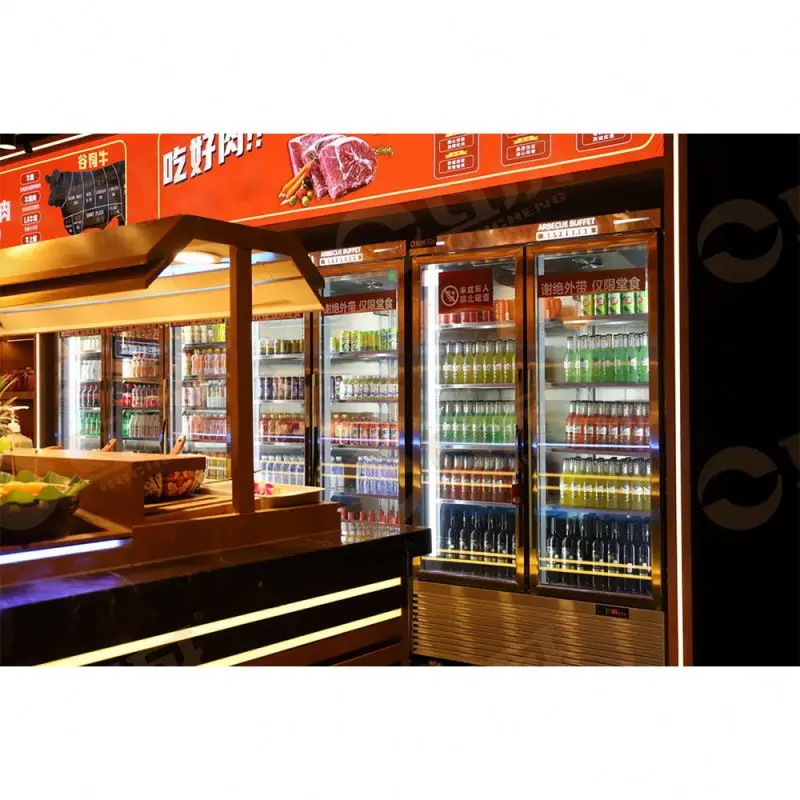 Beverage Display Refrigerator
Double Door Can Fridge
Beer Storage Display chiller