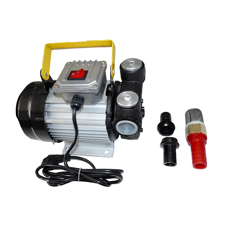 Electric Transfer Pump DYB60 with AC220V Eeletric Transfer Pump Used for diesel oil  LPG vane pump IP54 Protection Grades