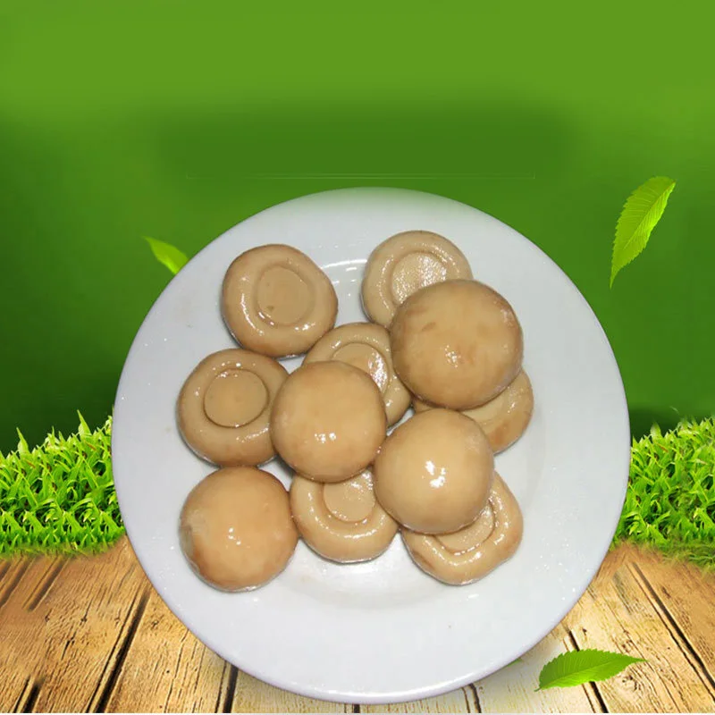 Canned Mushroom Pns/High Quality Canned Mushroom