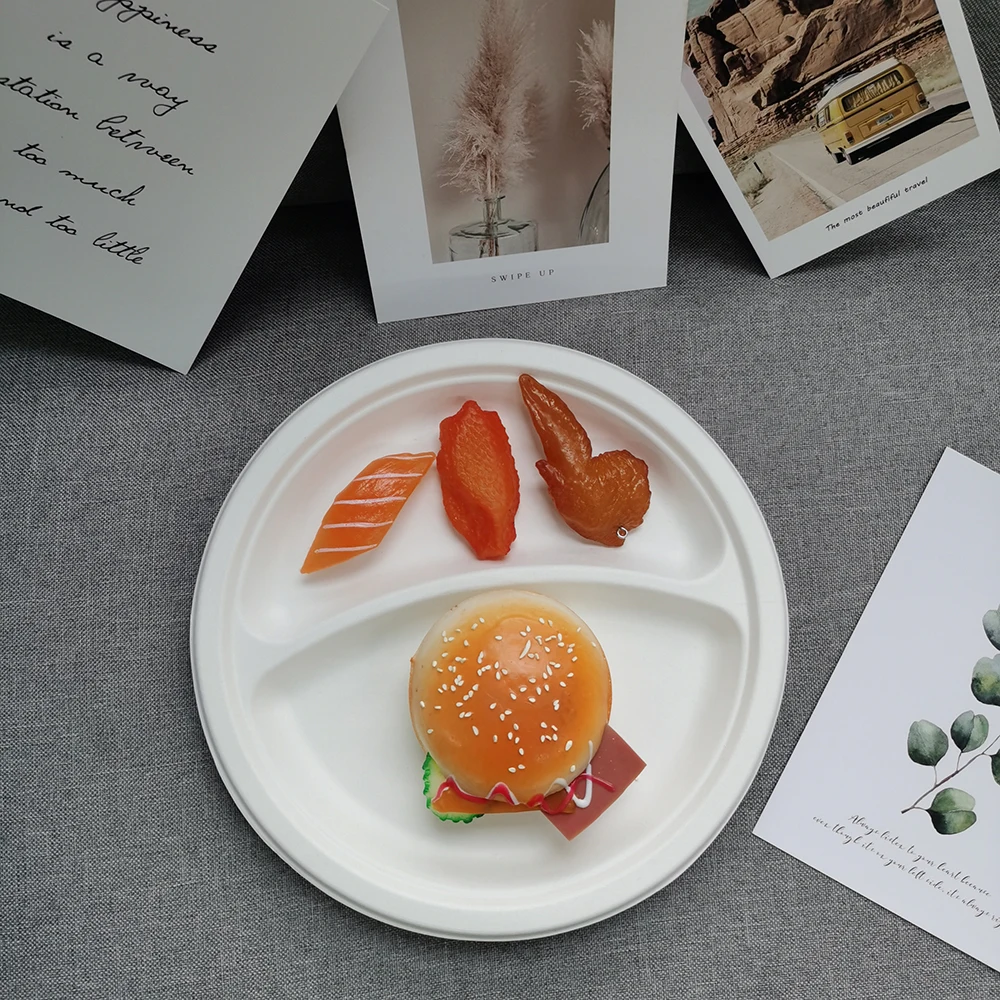 Paper Plates Biodegradable Plate Set Cheap Disposable  Plates Bulk Party Bagasse Food Container