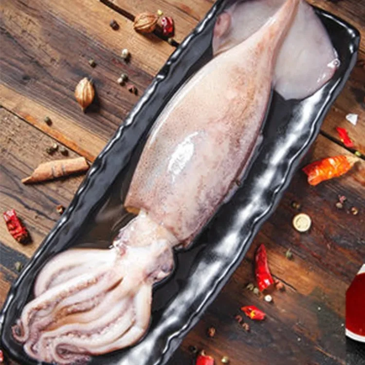 Wholesale Hot Sale High Quality Cheap Price Frozen Giant Squid For Sale