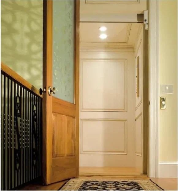 Safe and Low noise  House Elevator Residential Lift, Home Lift (FJ-108)