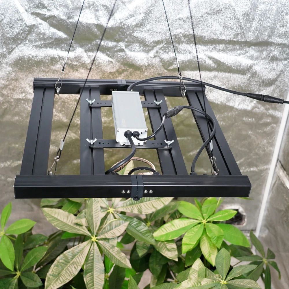 Meijiu Led Grow Light Samsung 100W Lm301H Evo Led Aluminum Profile Light 3000K 3500K Samsung Chips For Indoor Plants
