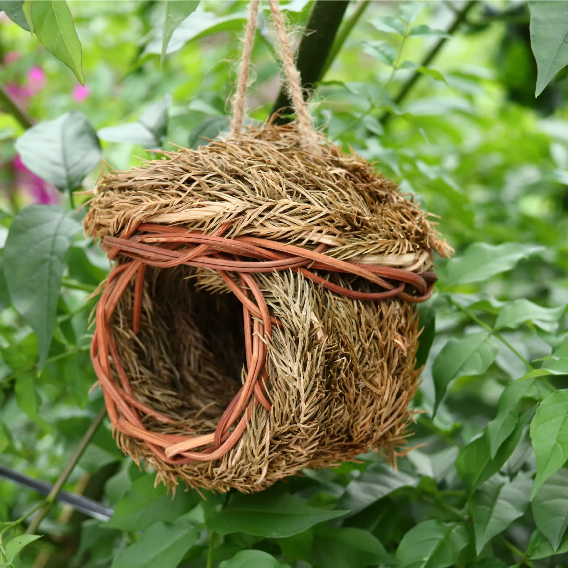 bird nest transparent design for easy observation best gift for kids