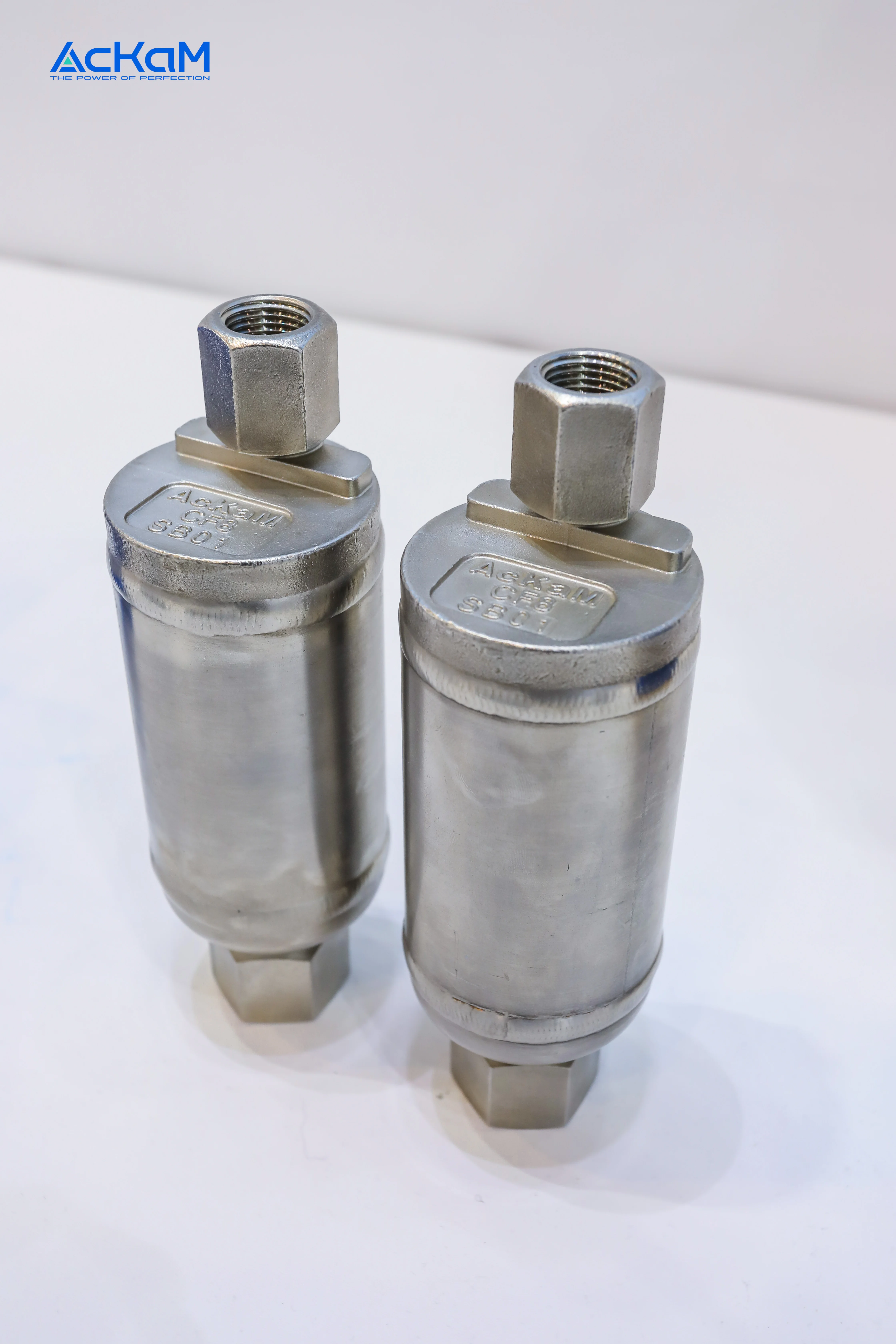 Factory Direct Supply AV28Q Stainless Steel Flange Threaded Exhaust Valve for Lithium Batteries Manual Power General Application