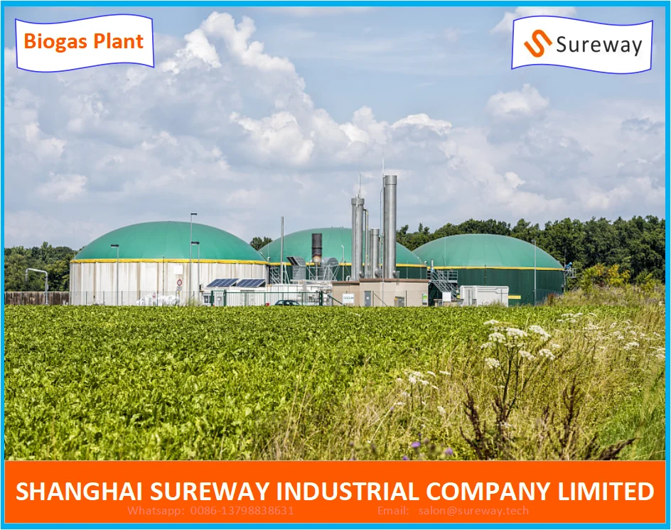 Animal Farm 20000m3 Anaerobic Lagoon Biogas Plant