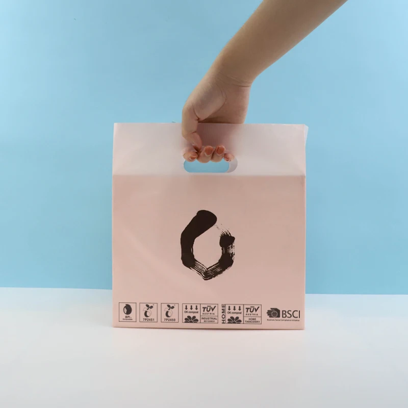 Wholesale Custom Printed Customized LDPE/HDPE /PLA Eco Friendly handle plastic die cut shopping bag