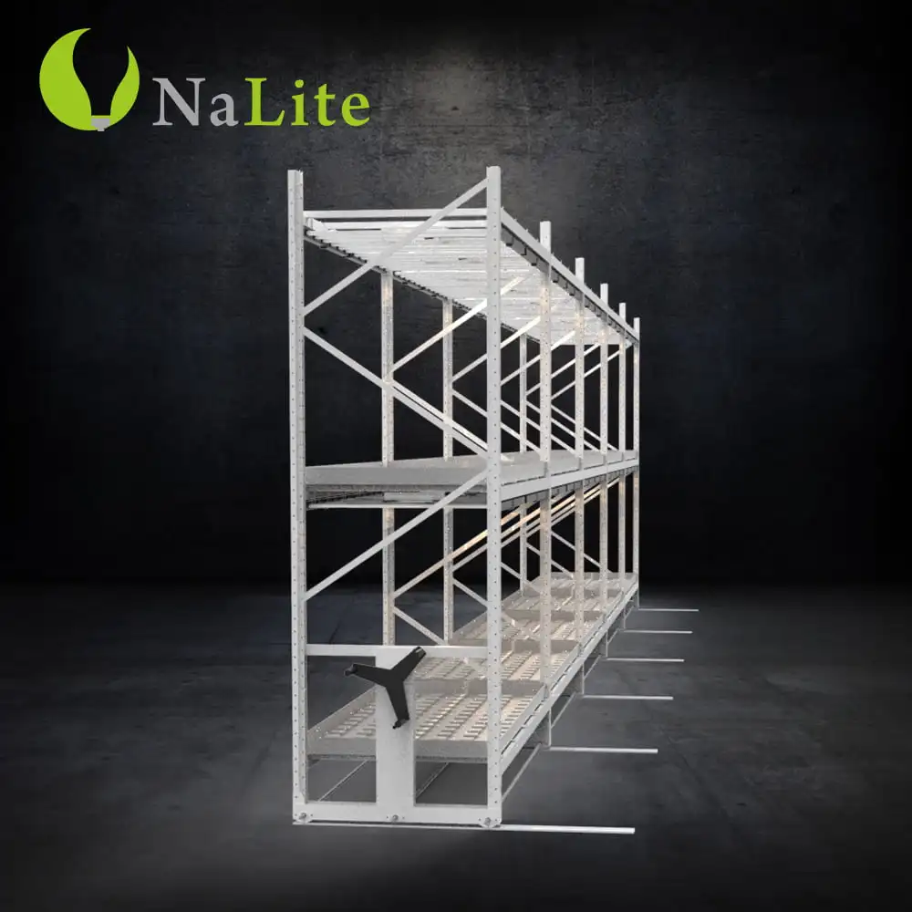 2022 Agriculture 4*8 ft Multi-level 2 Tiers Vertical Grow Rack Systems Mobile Rack For Sale