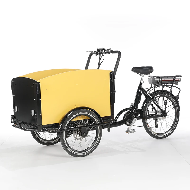 250W motor Electric Cargo Bike Dog Care Cargo Bike 3 Wheel Family Adult Bicycle Tricycle with front loading box