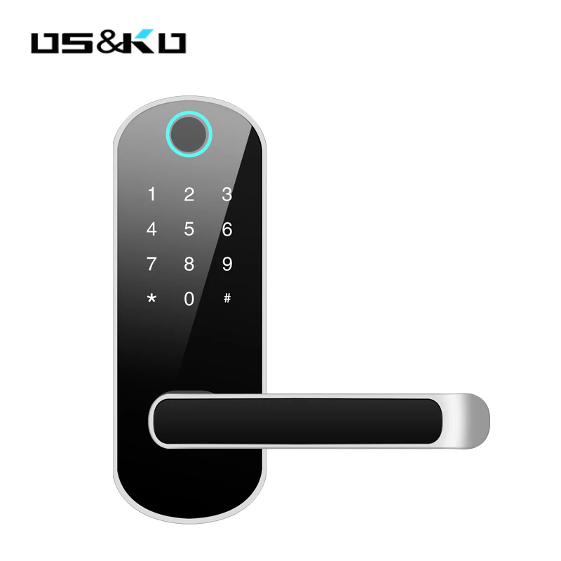 Smart Biometric Fingerprint Code Password Lock RFID Card Electronic Smart Fingerprint Door Lock