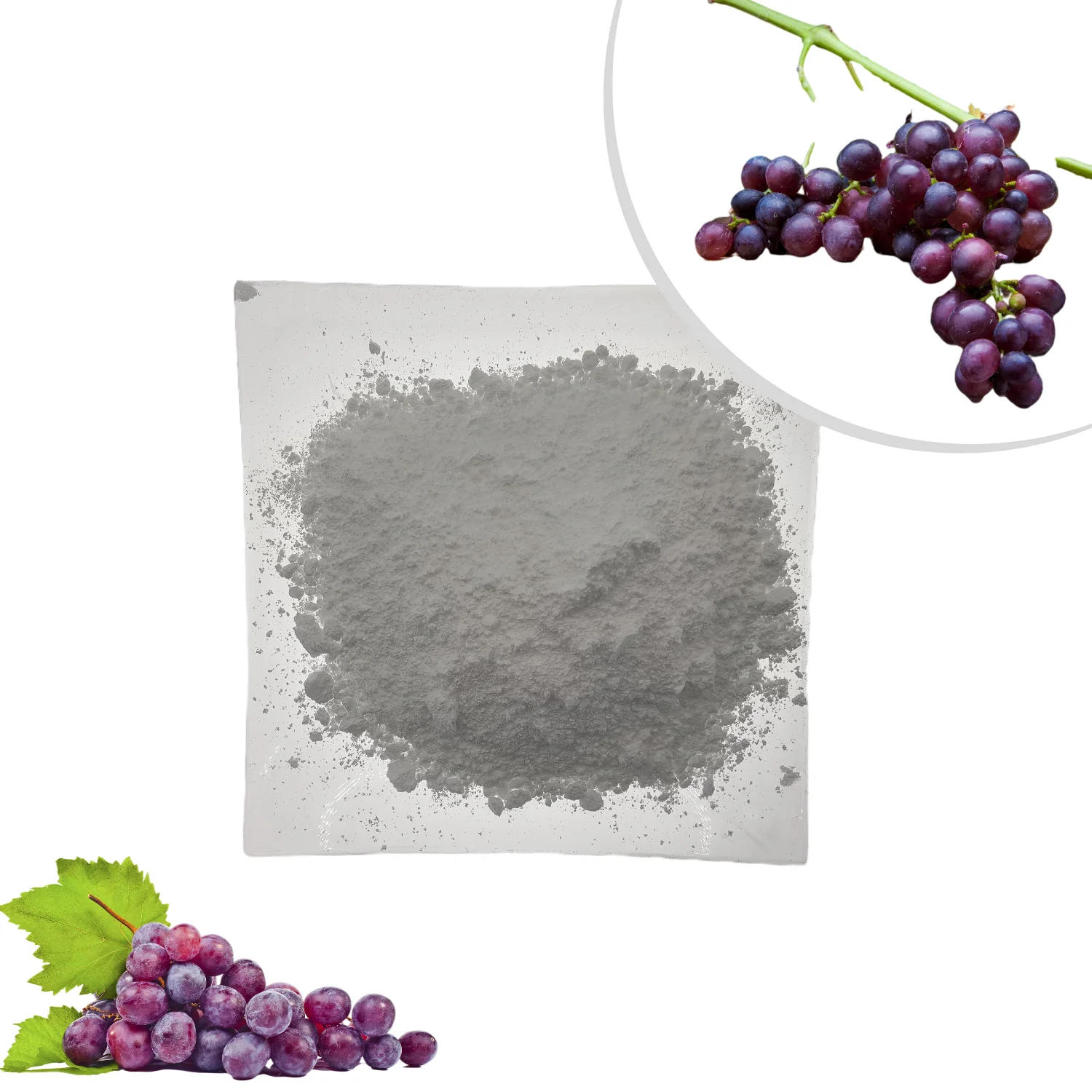 
Wolesalel Antioxidant Grape Peel Extract Resveratrol Powder 