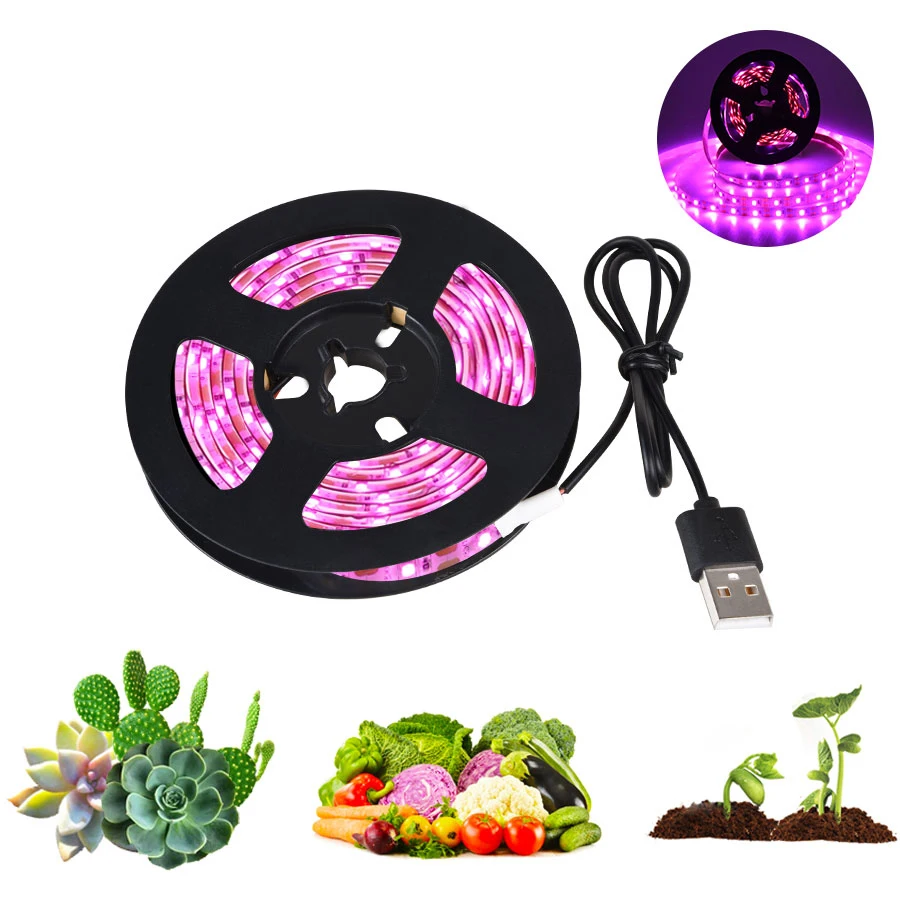 2020 Hot Sale Full Spectrum Led Strip Plant Grow Full Spectrum Quantum Light Lighting and Circuitry Design ROHS Ce Seed Starting