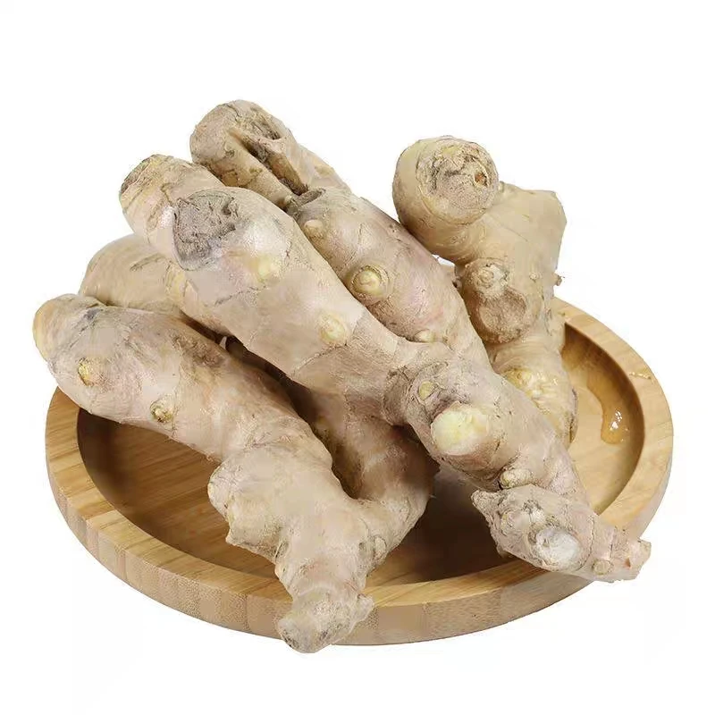 Premium Fresh Lowest Price Fresh Chinese Old Black Ginger Fresh