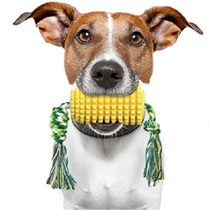 New Release Pet Toys Artificial Corn Toothbrush Dog Chewing Toy with Rope