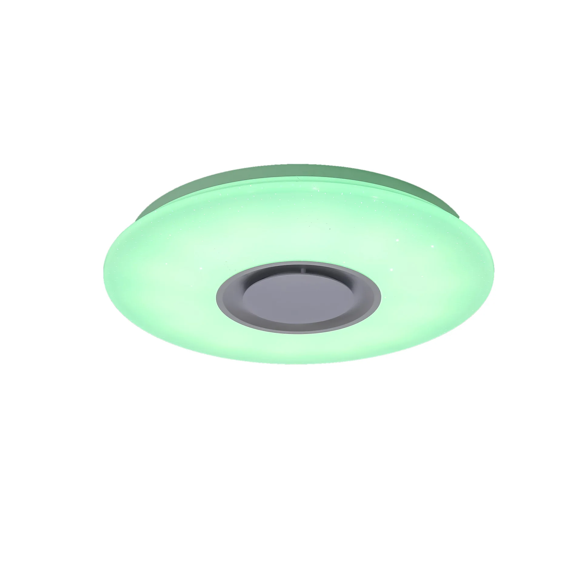 WiFi smart ceiling light with blue tooth speaker
