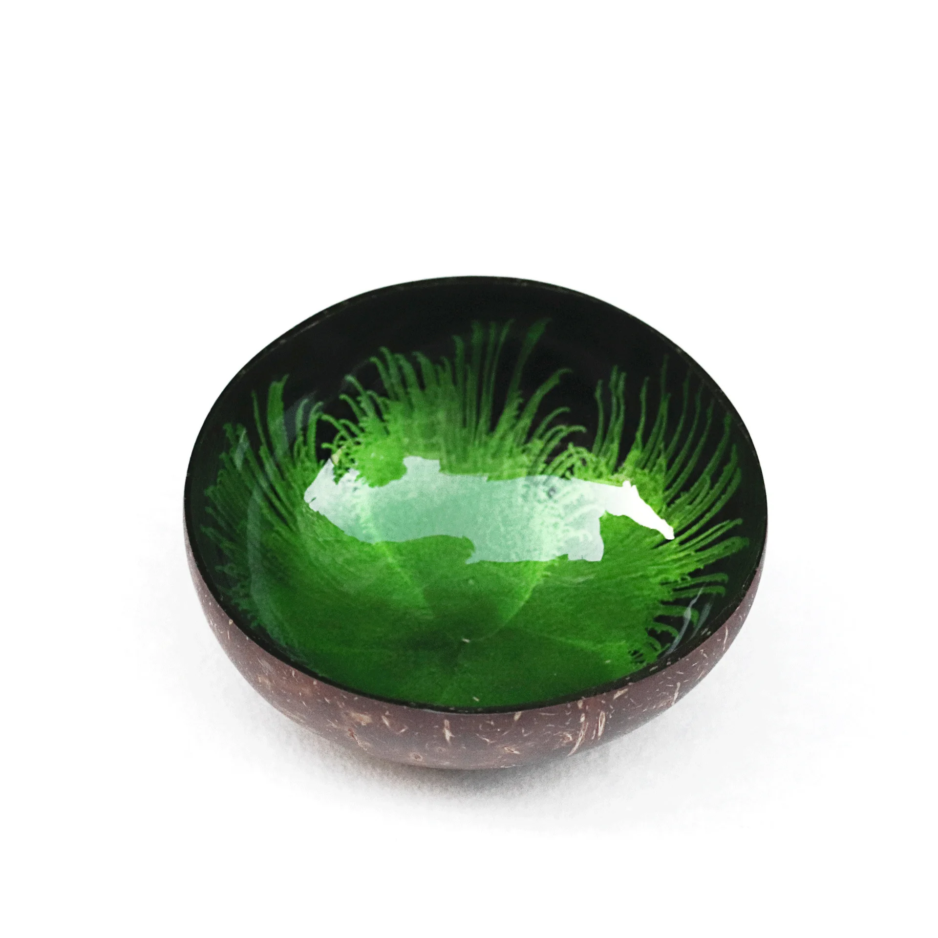 ,Storage Bowl,Candy Container,Nuts Holder Desktop Organizerfor Home Office Living Room(Mixed Colors)Lacquer Coconut Shell Bowl