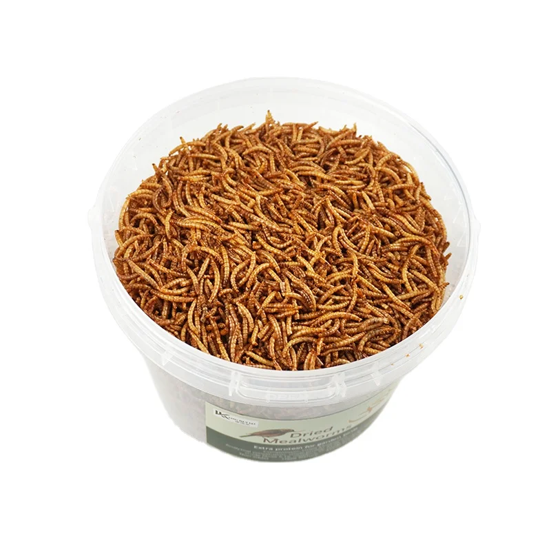 High Quality dried mealworms dry food fish seed mix food feed