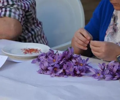 wholesale price of buy pure bulk organic premium kilogram SPANISH SAFFRON tea per kg exporter supplier