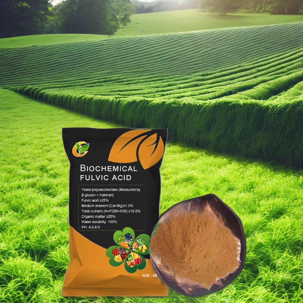 New Biochemical Fulvic Acid Powder Organic Potassium Humate NPK Humic Acid Plant Source for Agriculture Farm Manure Fertilizer