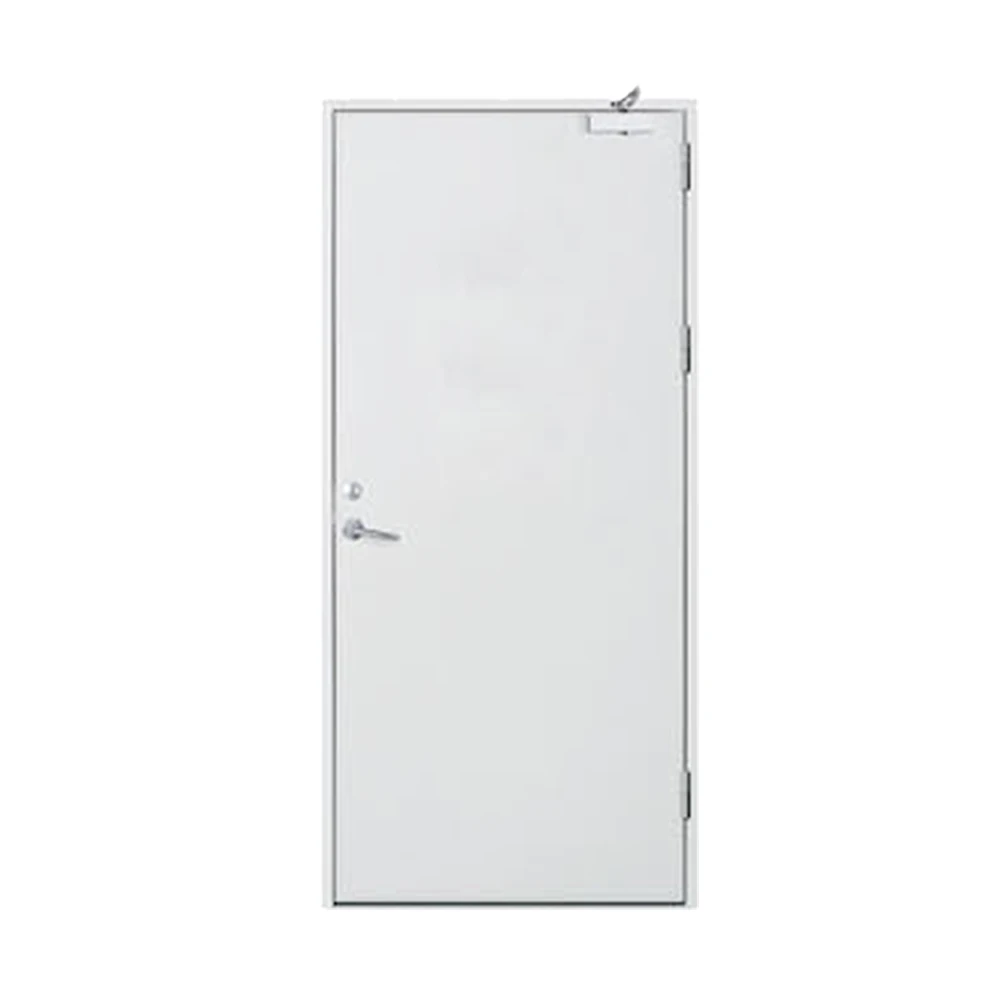 Interior Modern School Hospital Custom Kenya Steel Fireproof Security Door Design