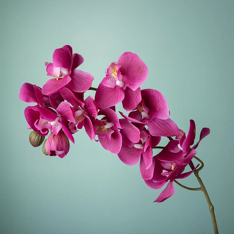 Customizable Color Faux Plants Artificial Flowers Real Touch Phalaenopsis Orchid For Home Decorative Manufacture