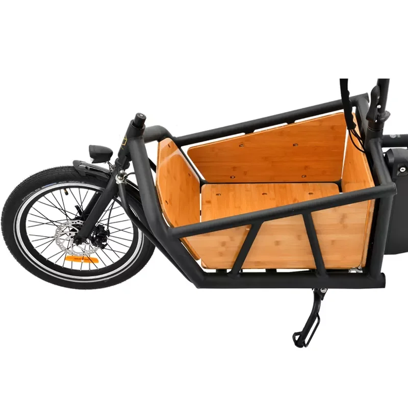 factory price family cheap price front loading 3 wheel electric bike cargo trailer bicycle for sale