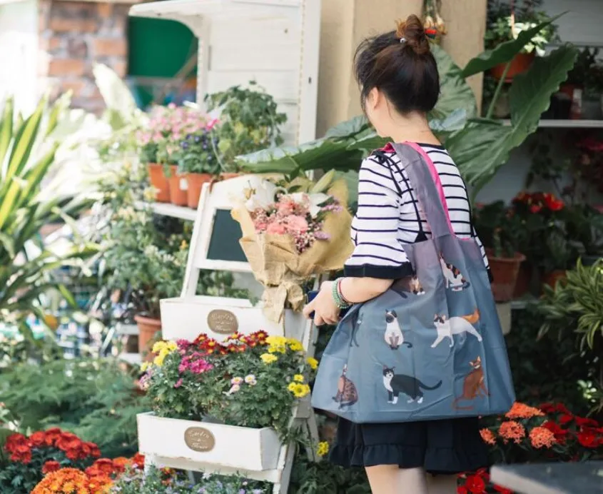 Shopping Foldable Bag Eco Friendly Promotional Polyester Foldable Shopping Bag