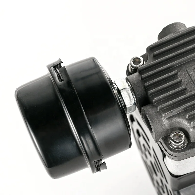 High quality air compressor 12 volts 100W low noise air compressor for oxygen concentrator equipment