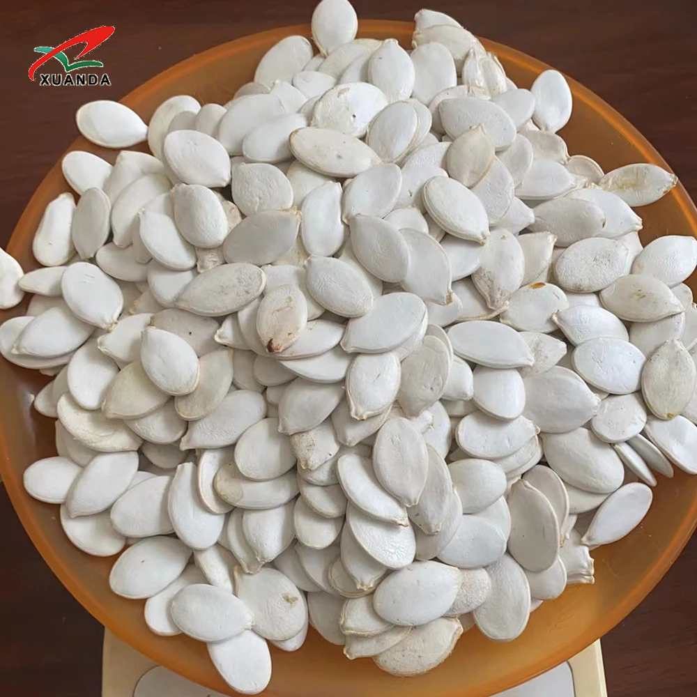 newest crop seeds and Nuts Hot Sale Dried Snack Top Grade 100% Natural Snow White Pumpkin Seeds