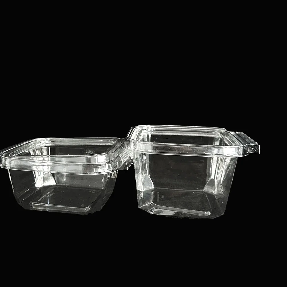 Great Quality Reusable Clear Blister Plastic Box Clamshell Takeout Trays