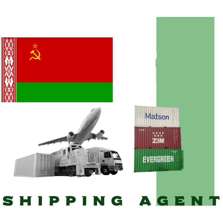 Ddp грузовой Грузовой корабль логистический сервисный агент Belarus Russia грузовые суда экспедитор доставка из Китая в