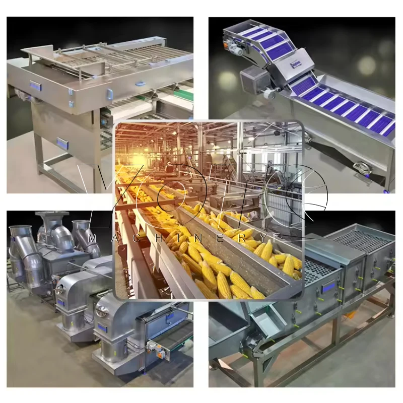 root vegetable washing and peeling machine Potatoes Chips Industrial Machines In Thailand