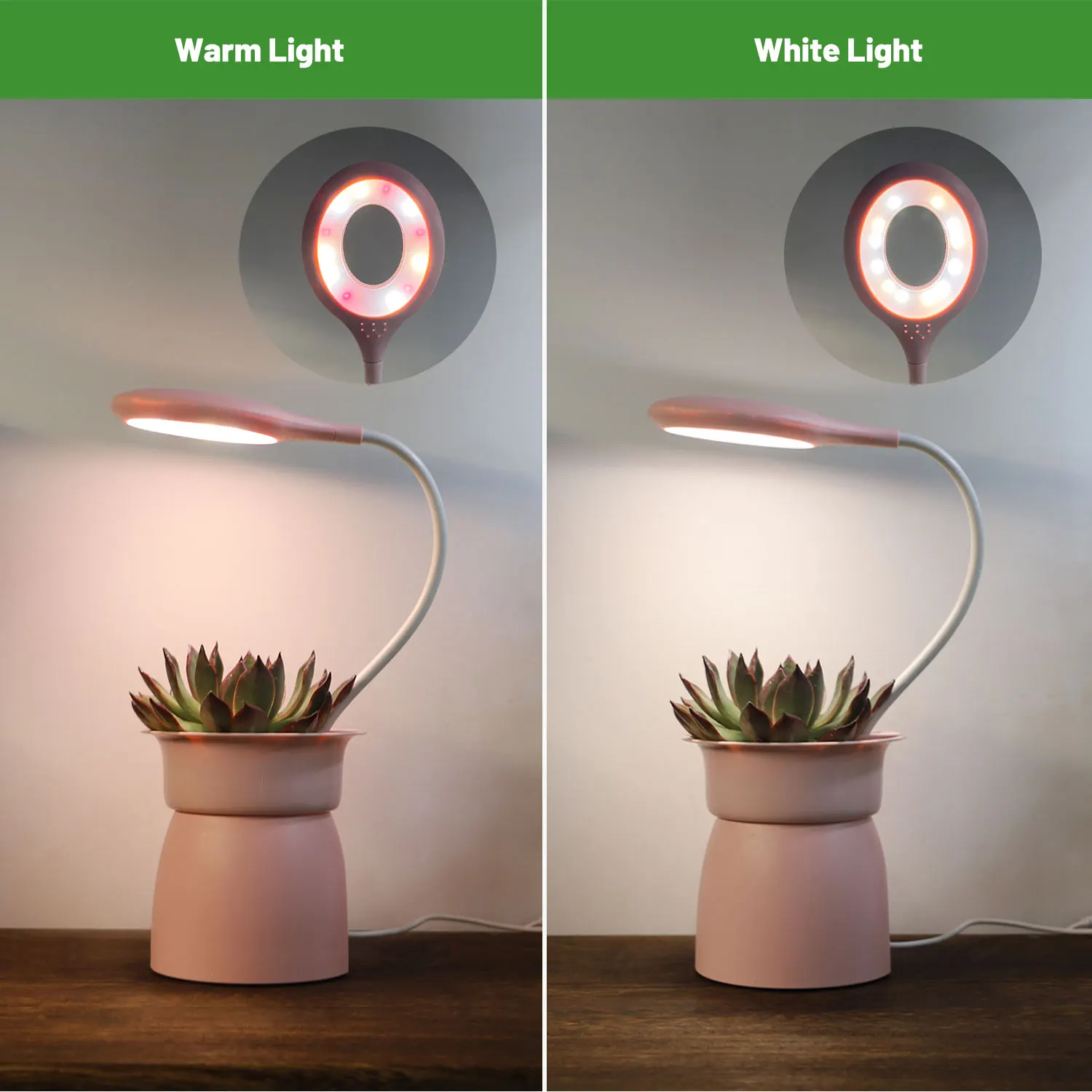 Creative Ideal Gift home and office plant light mini indoor garden decor home grow kit blue/ white/ pink for potted plants