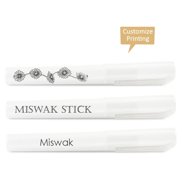 CUSTOMIZE LOGO PLASTIC CASE/HOLDER FOR MISWAK STICK LOW PRICE AND HIGH QUALITY CLEAR PLASTIC HOLDER CASE FOR TRAVEL AND OUTDOOR