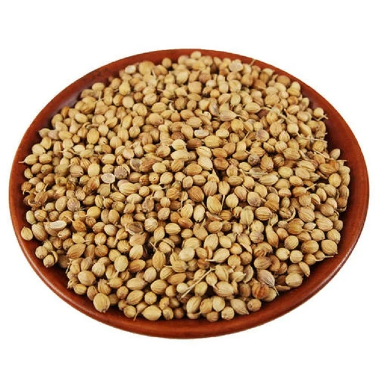 
High Quality 100% natural Coriander Seeds price supplier 