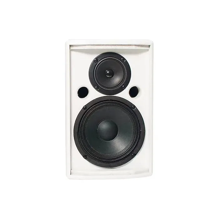 TKG 100watt 100W  conference meeting speaker A8 8 inch speaker bass