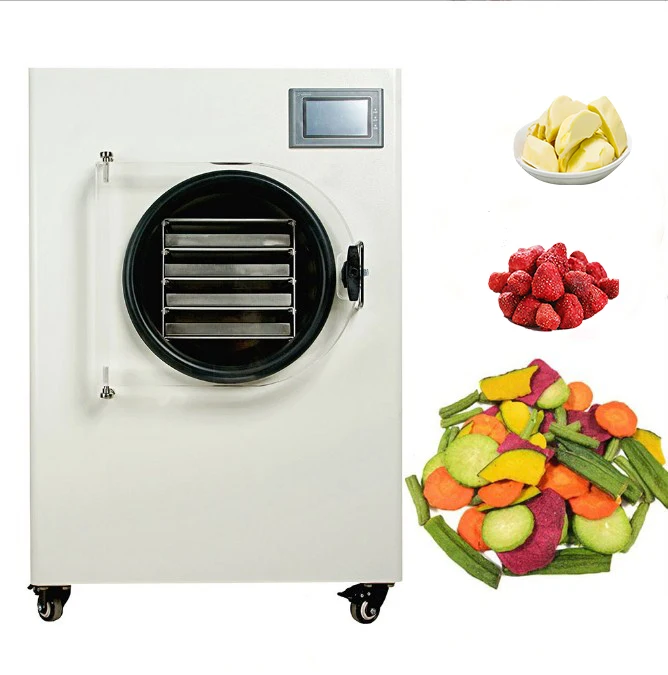 home household food vegetable fruit commercial vacuum freeze dehydrator  mini freeze dryer Lyophilizer