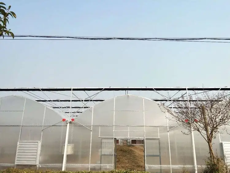 Skyplant многопролетная пленка теплица сельскохозяйственное оборудование гидропонная система Поли Туннель зеленый дом
