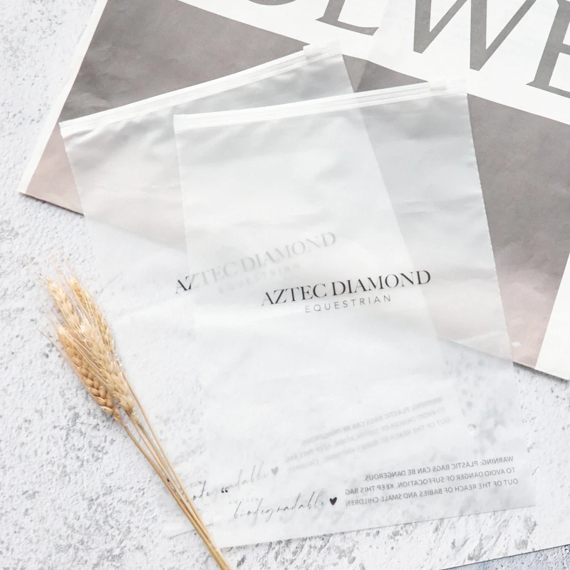 biodegradable custom printing clear zipper slider frosted pvc eva plastic clear zip lock packaging bag for clothes