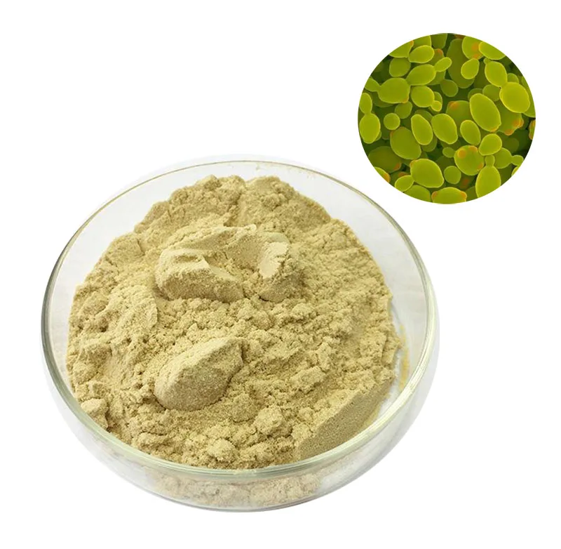 Staherb supply Yeast Extract beta-1,3/1,6-Glucan powder,brewer yeast extract Beta Glucan