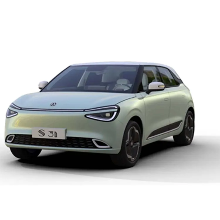 Famous Brand Factory Direct Pure Electric Popular Passenger Car