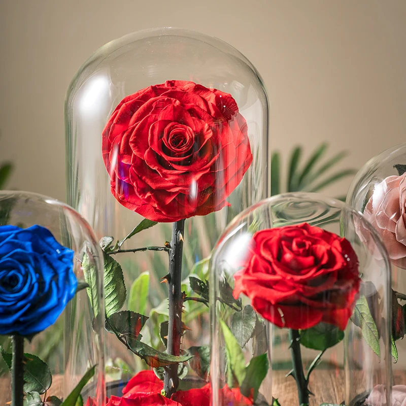 wholesale real eternal rose in Led Light Glass Dome high quality preserved Rose Perfect Birthday Valentines Day Gifts