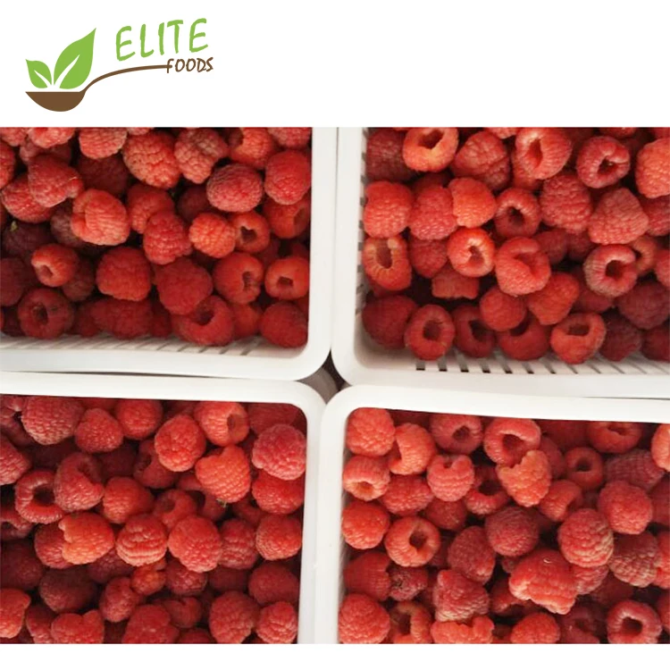 IQF frozen berries crumble whole raspberry