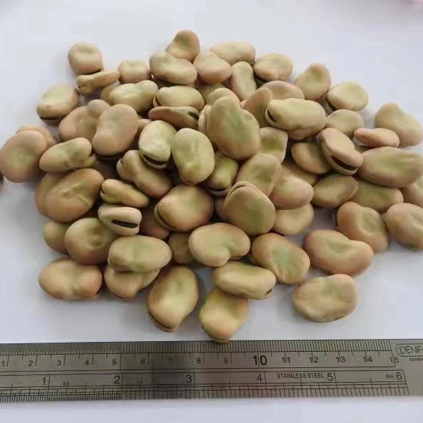 Chinese agricultural products -board beans