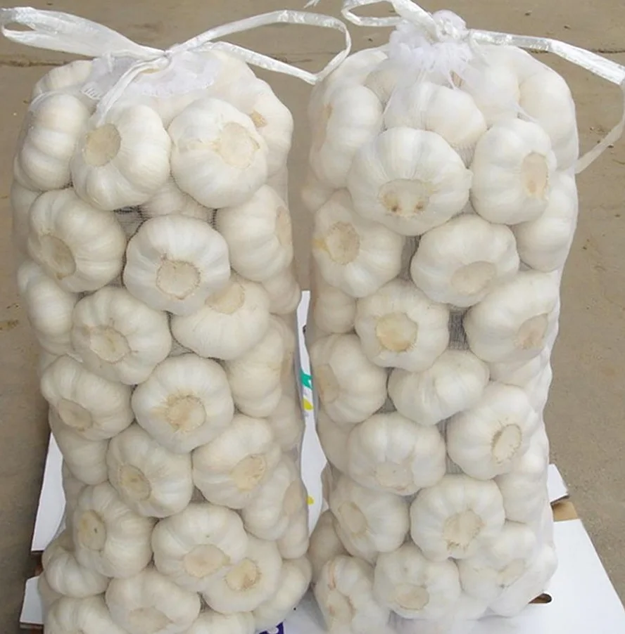
buy discounts factory top quality fresh white garlic vegetables in stock 