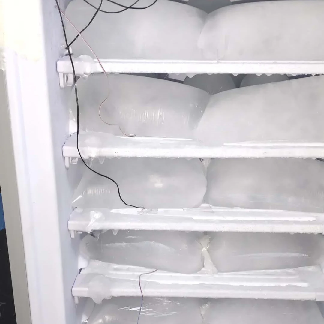 198L DC 24V ice block upright freezer business solar panel gel battery DIY Inflated plate fast frozen solar ice machine