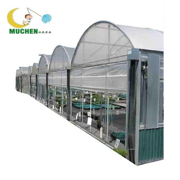 
tomato greenhouse structure greenhouse for mushroom 