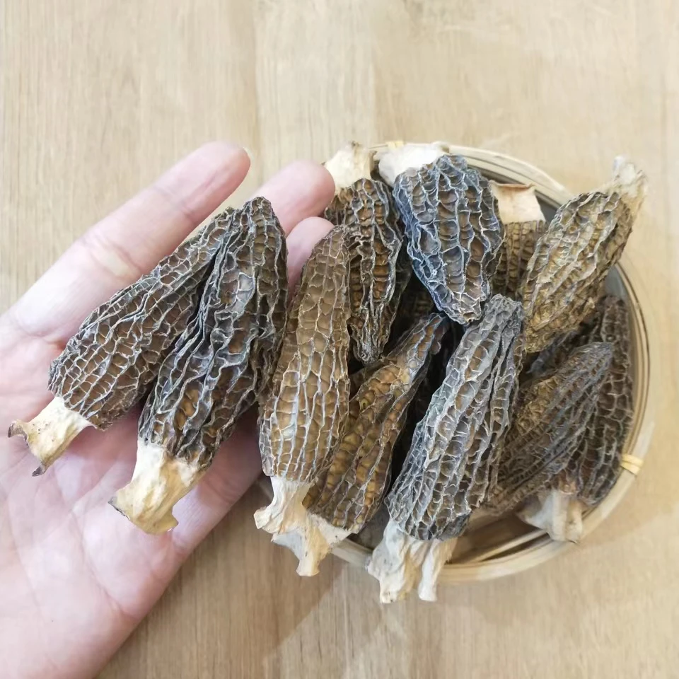 Chinese 7-9cm,  1cm Stem Dried Morel Mushroom
